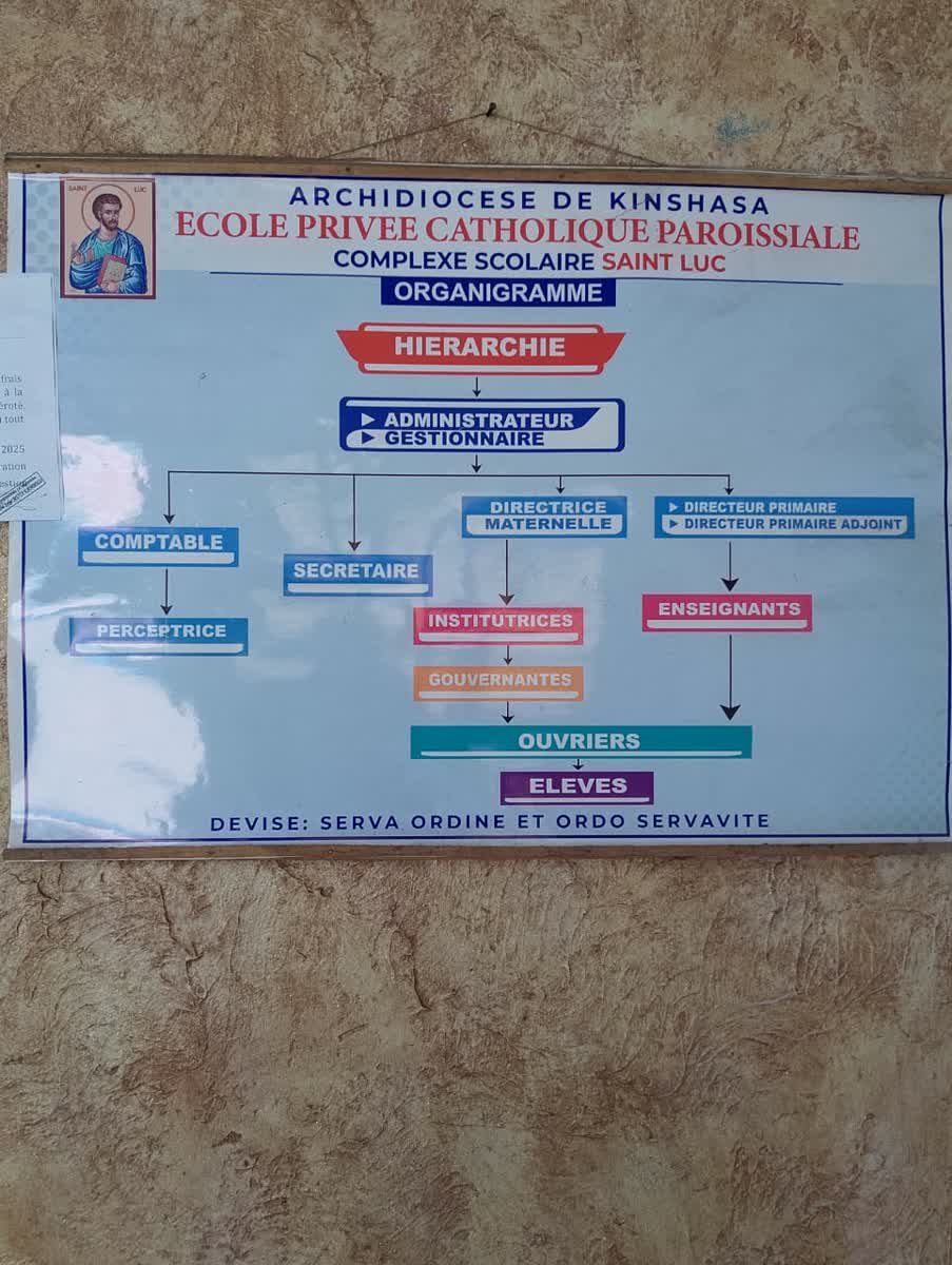Organigramme de l'école